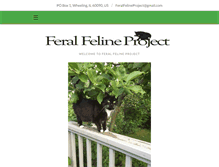Tablet Screenshot of feralfelineproject.org